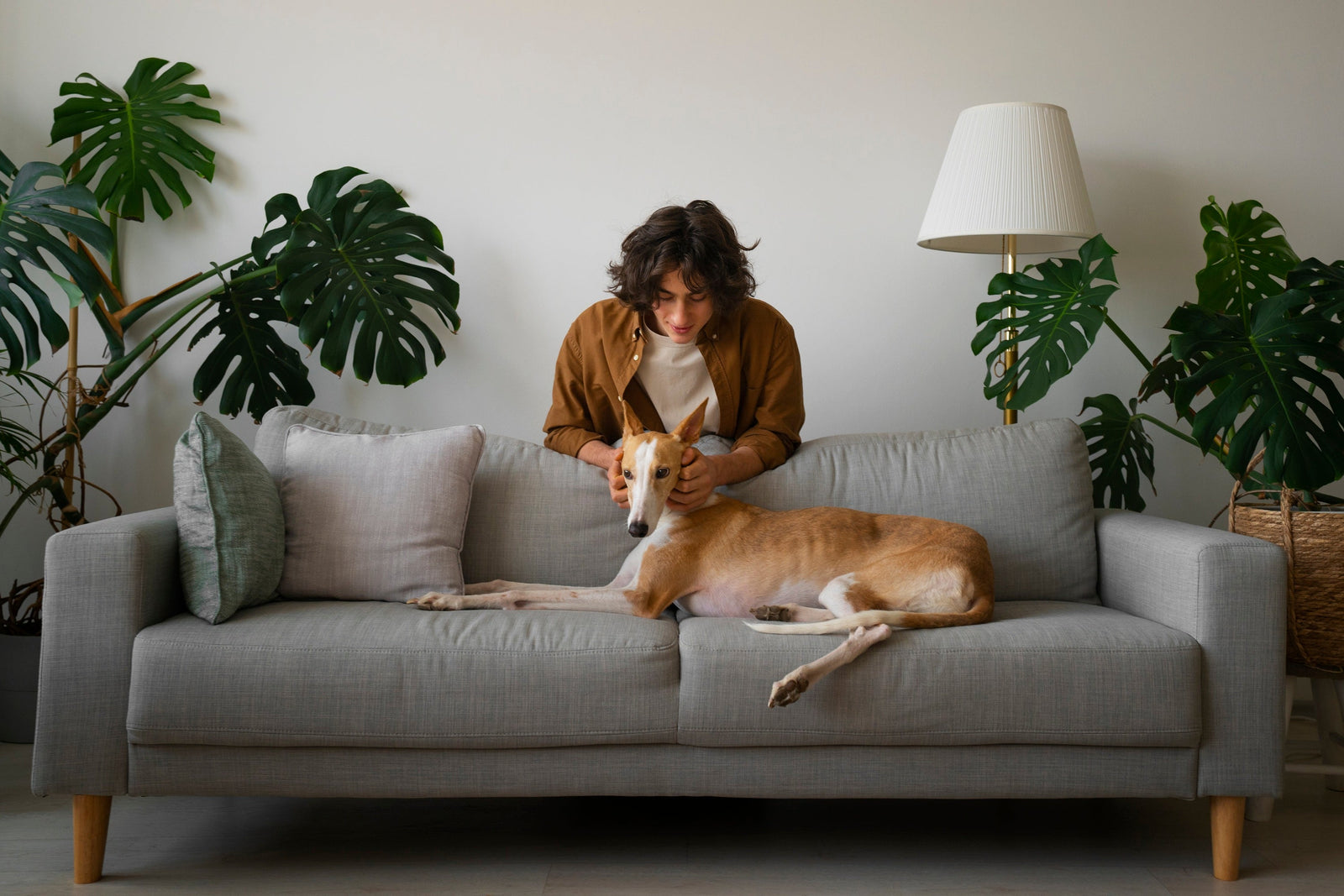 Pet Essentials